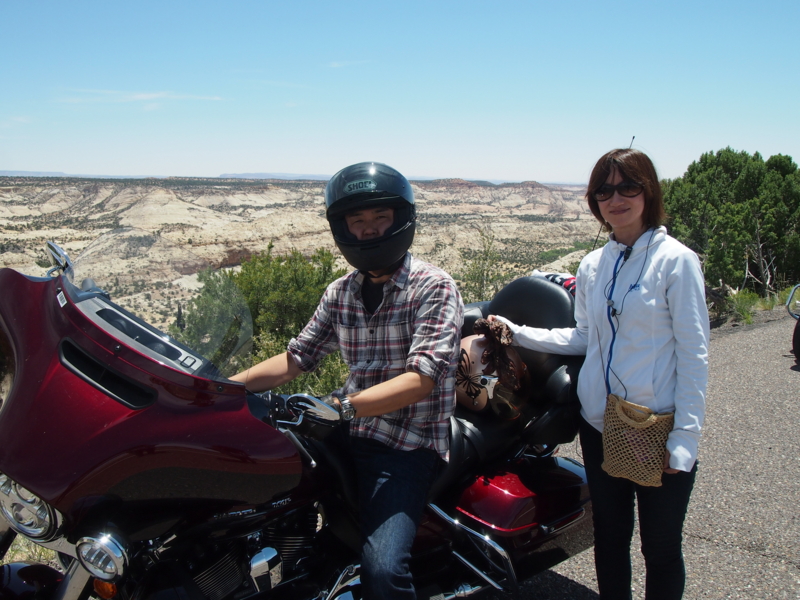 f:id:CHICS:20150621040254j:image f:id:CHICS:20150621040254j:image