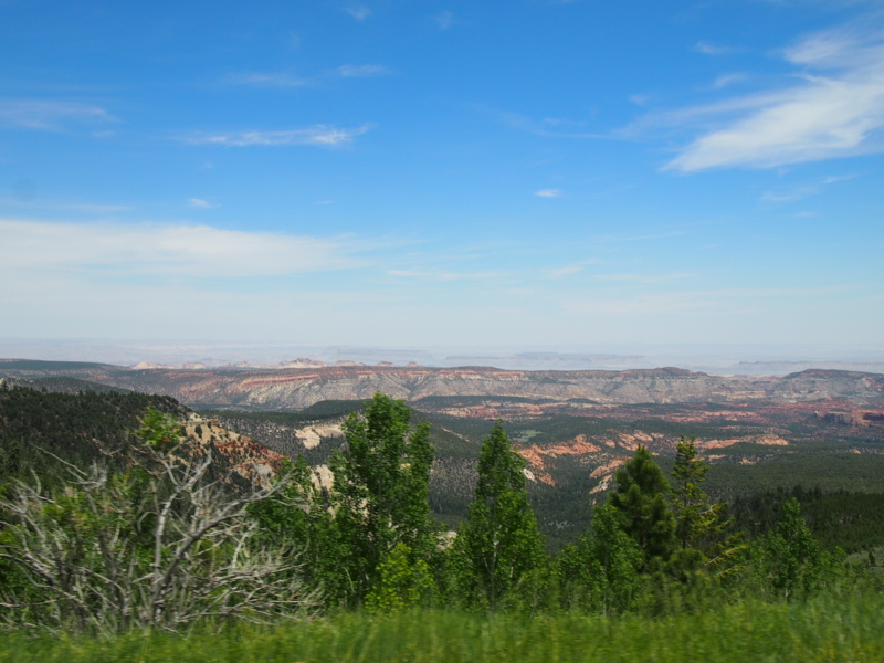 f:id:CHICS:20150621050326j:image f:id:CHICS:20150621050326j:image