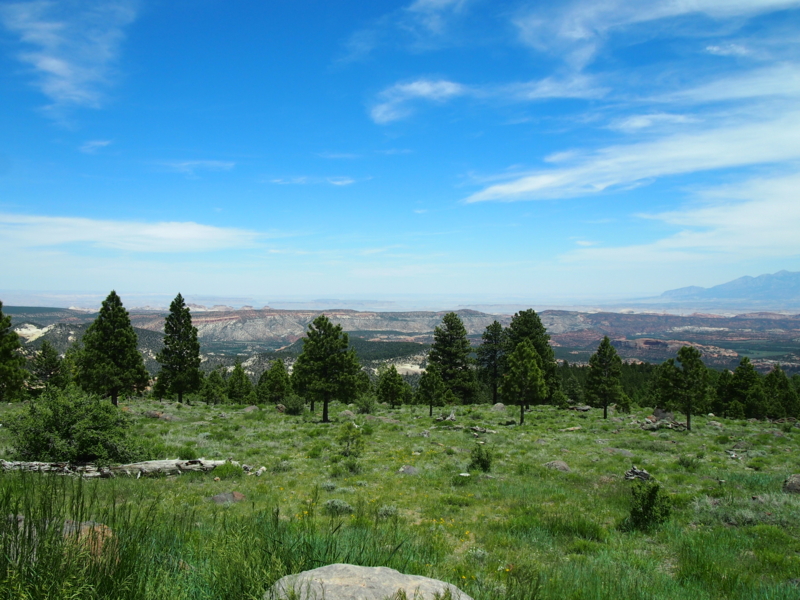 f:id:CHICS:20150621051204j:image f:id:CHICS:20150621051204j:image