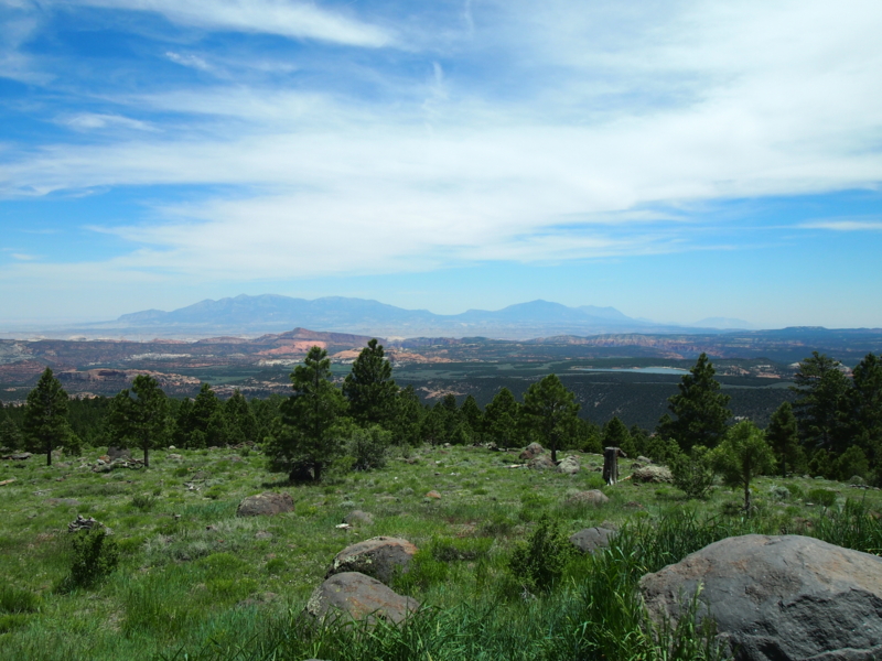 f:id:CHICS:20150621051207j:image f:id:CHICS:20150621051207j:image