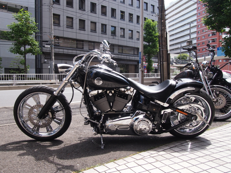 f:id:CHICS:20150628095859j:image
