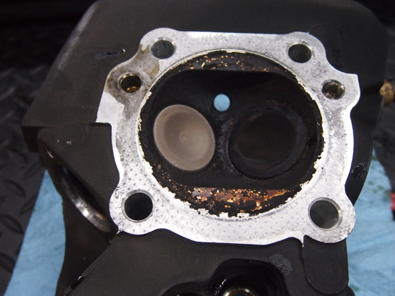 f:id:CHICS:20161214172159j:image f:id:CHICS:20161214172159j:image