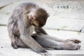 f:id:CHICS:20161228101959j:image f:id:CHICS:20161228101959j:image