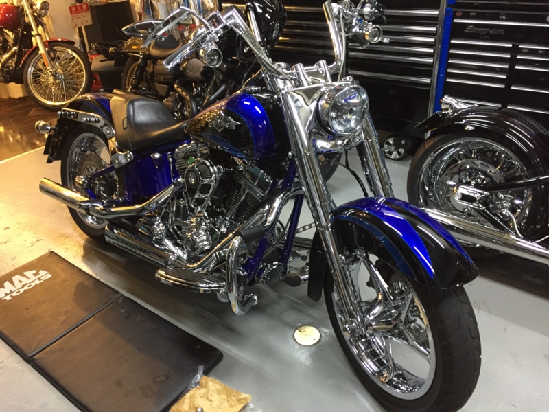 f:id:CHICS:20170117175907j:image f:id:CHICS:20170117175907j:image