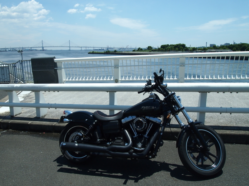f:id:CHICS:20170619115725j:image
