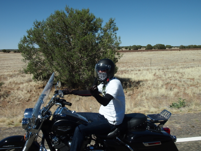 f:id:CHICS:20180609071854j:image