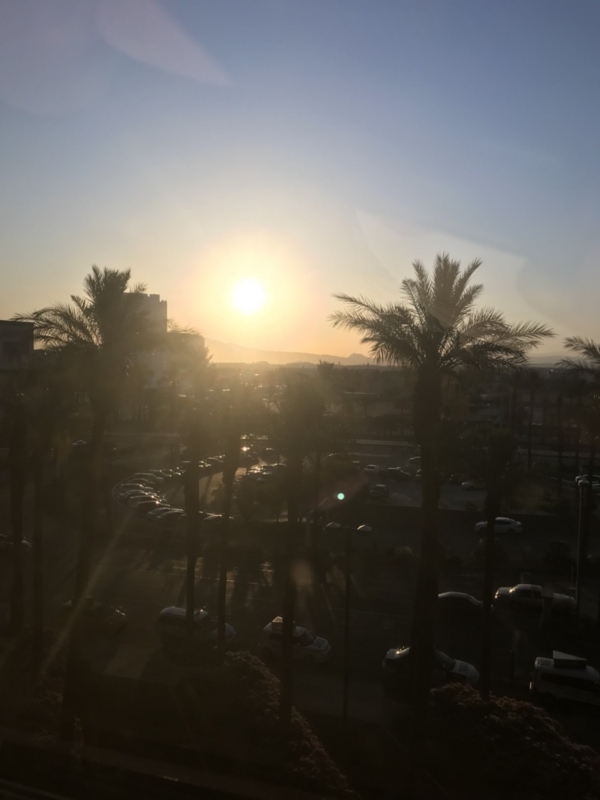 f:id:CHICS:20180618211703j:image