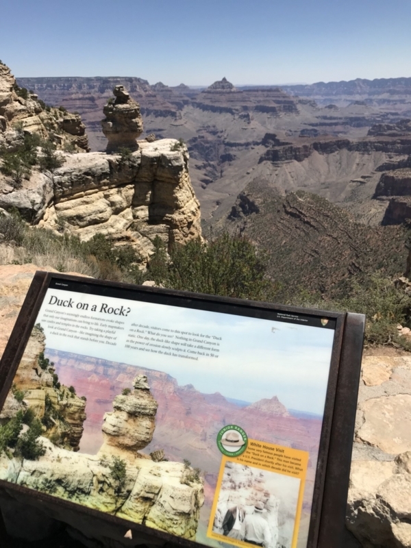 f:id:CHICS:20180725104956j:image f:id:CHICS:20180725104956j:image