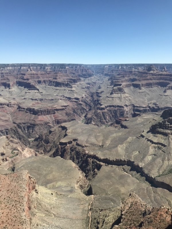 f:id:CHICS:20180725104959j:image f:id:CHICS:20180725104959j:image