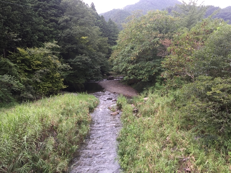 f:id:CHICS:20180829120021j:image