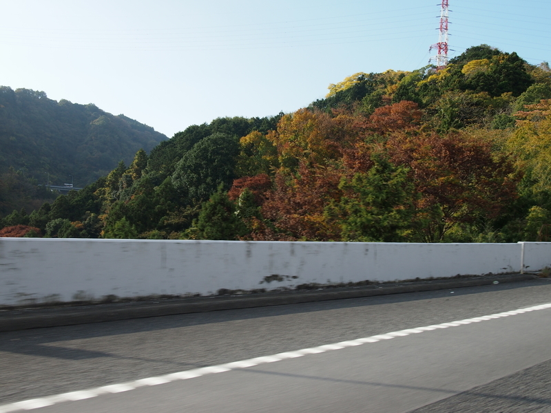 f:id:CHICS:20181111085703j:image