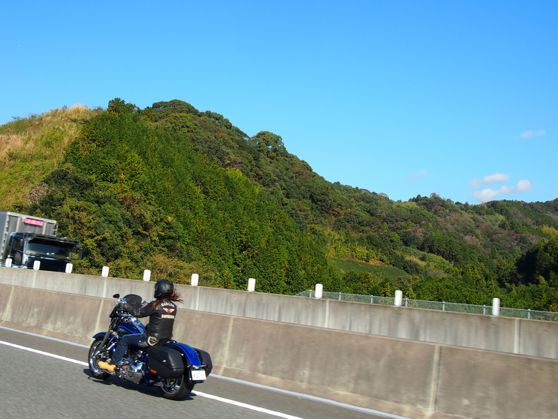 f:id:CHICS:20181111100406j:image