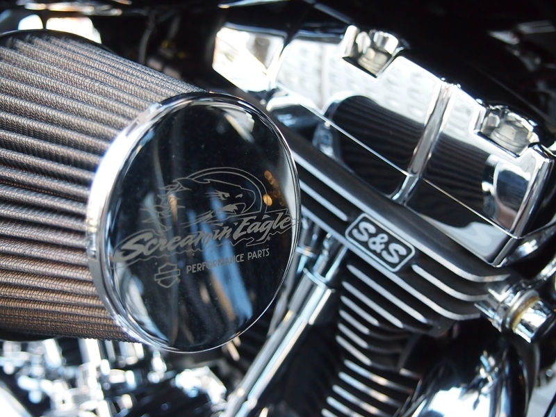 f:id:CHICS:20190121121323j:image f:id:CHICS:20190121121323j:image