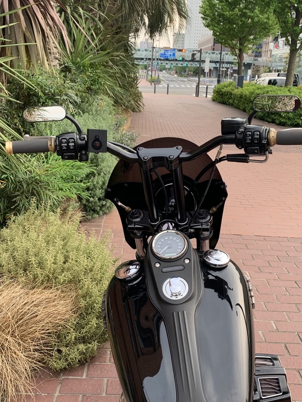 f:id:CHICS:20190513213738j:image