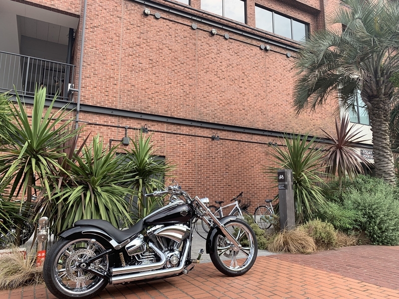 f:id:CHICS:20190617100618j:image f:id:CHICS:20190617100618j:image