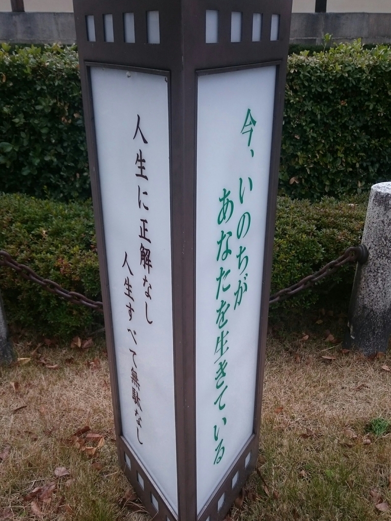f:id:CHIKUSENDO:20181231174541j:plain f:id:CHIKUSENDO:20181231174541j:plain