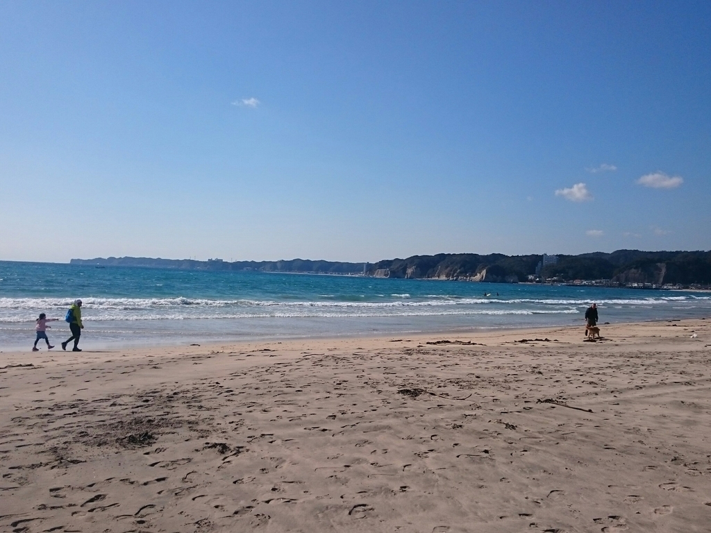 f:id:CHIKUSENDO:20190204125037j:plain f:id:CHIKUSENDO:20190204125037j:plain