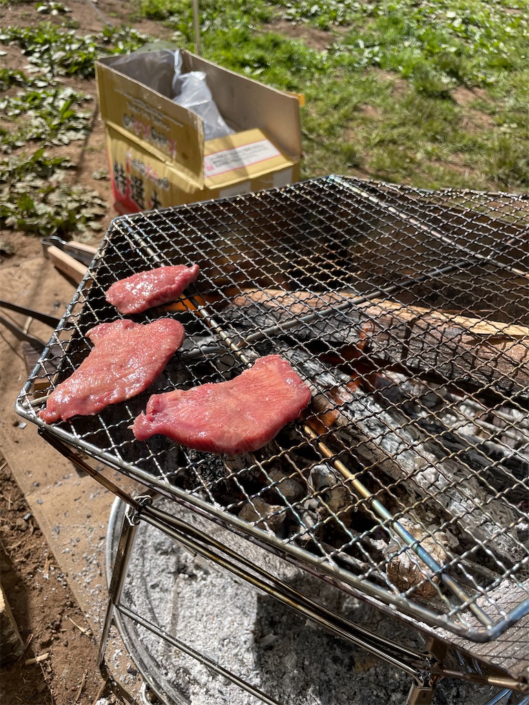 f:id:CHiCoCo:20210529080420j:image