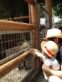 20120615105150