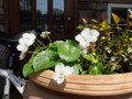 20140428065003