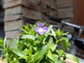 20140428065024