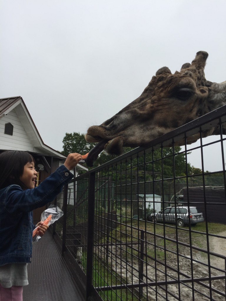 f:id:CLALIS:20171024134557j:plain f:id:CLALIS:20171024134557j:plain