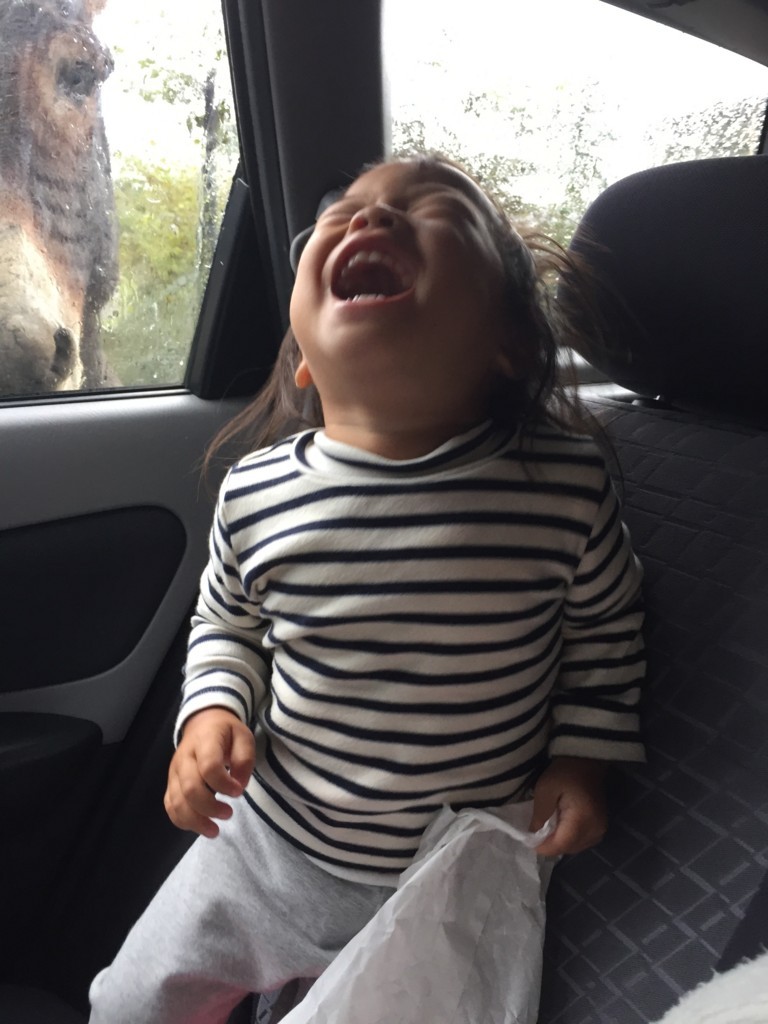 f:id:CLALIS:20171024134702j:plain f:id:CLALIS:20171024134702j:plain