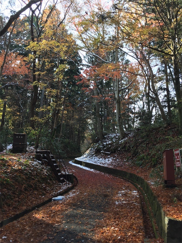 f:id:CLALIS:20171124064429j:image