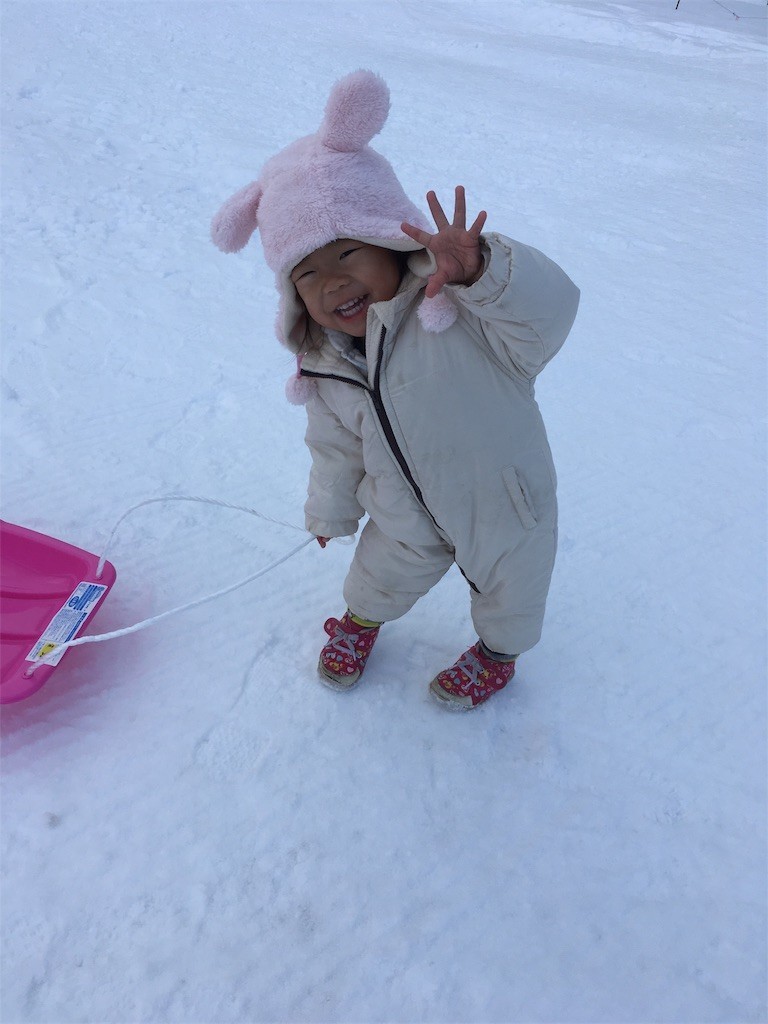 f:id:CLALIS:20171224113126j:image