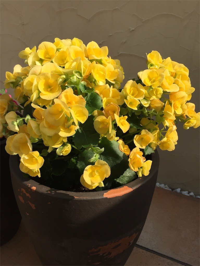 f:id:CLALIS:20180404150651j:image