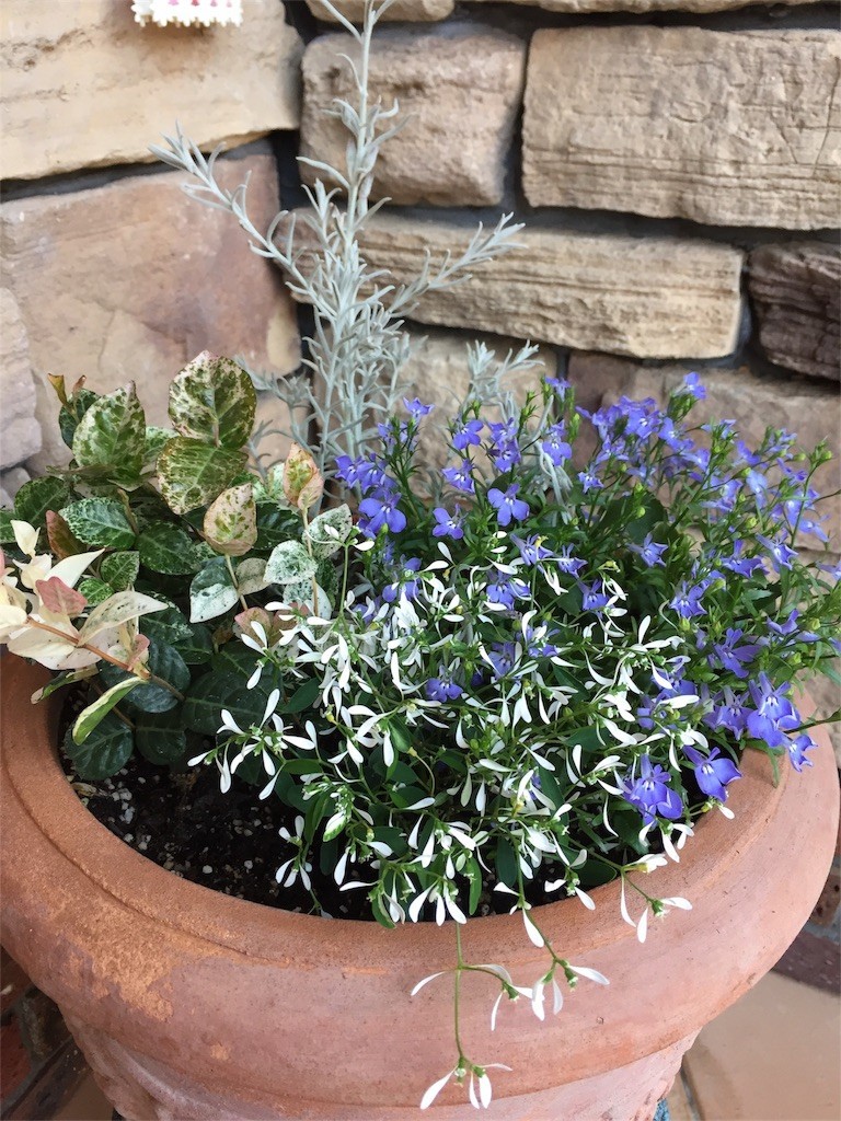 f:id:CLALIS:20180501181134j:image