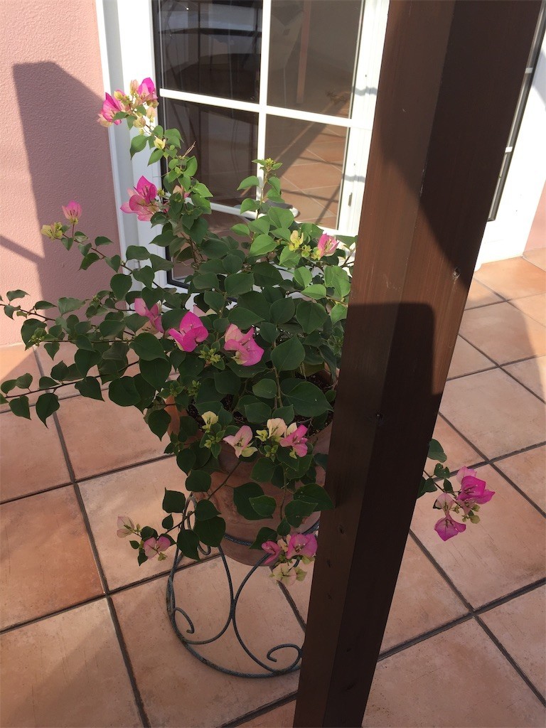 f:id:CLALIS:20181112091815j:image