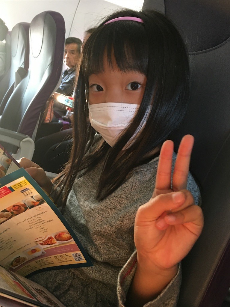 f:id:CLALIS:20191108160251j:image