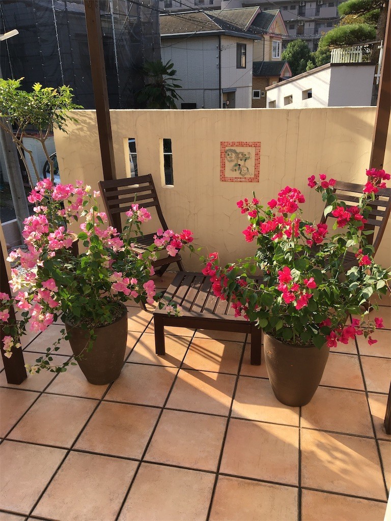 f:id:CLALIS:20211005074526j:image