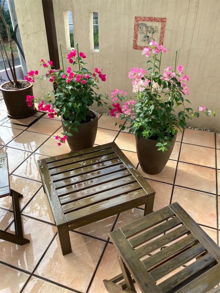 f:id:CLALIS:20220829075630j:image