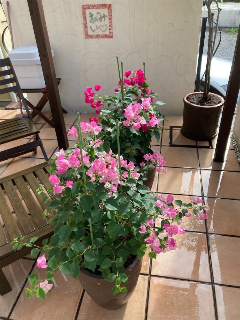 f:id:CLALIS:20220829075641j:image