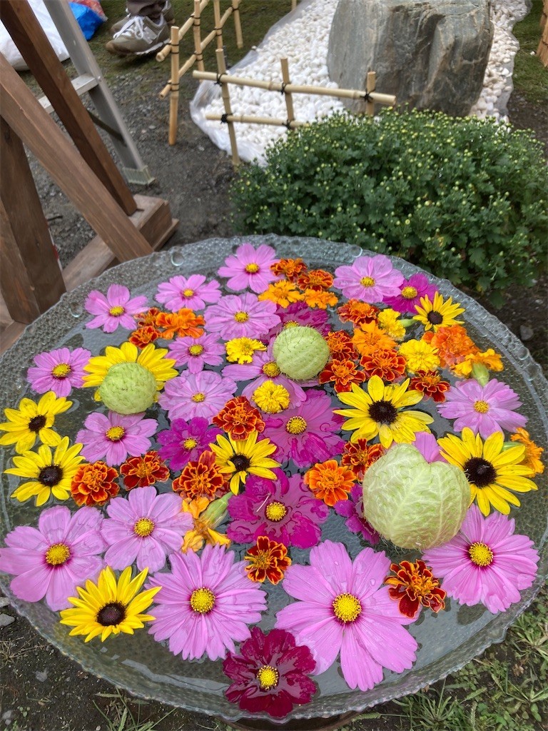 f:id:CLALIS:20221021112735j:image