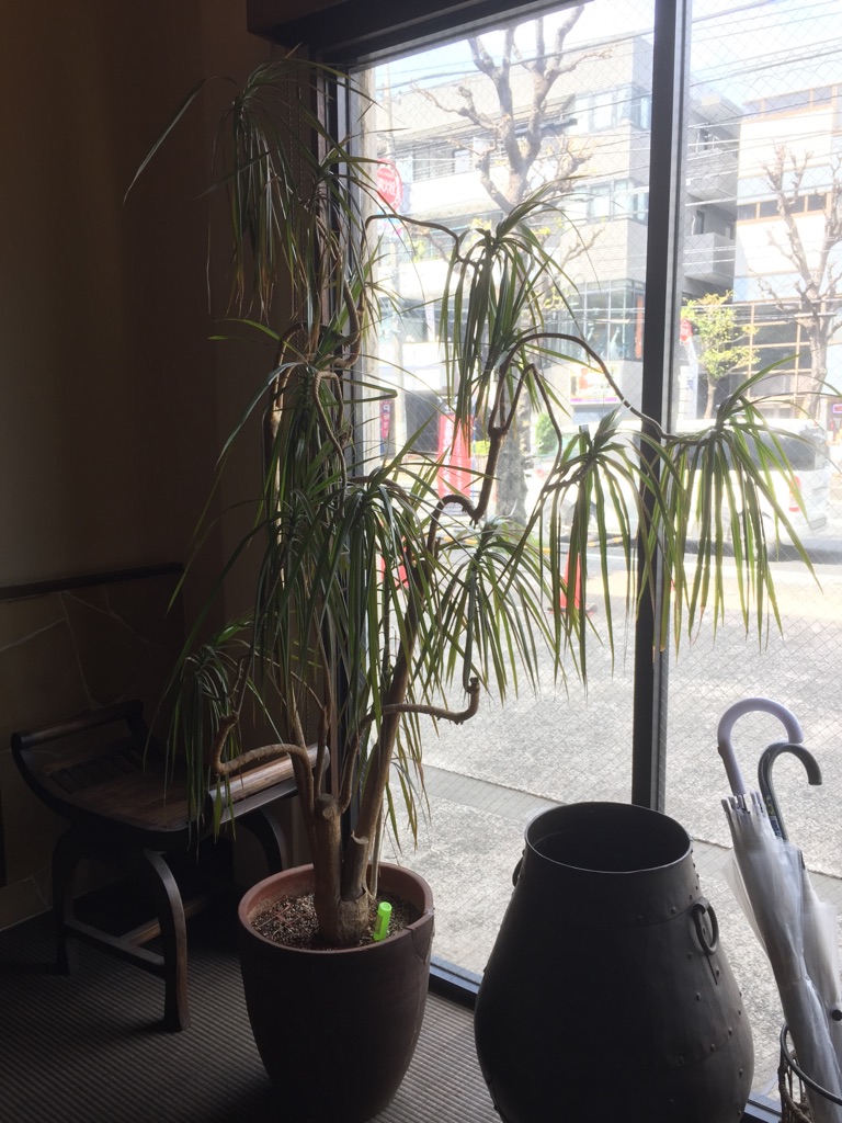 f:id:CLOUDNINE:20180412135655j:plain