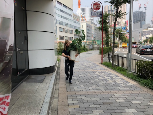 f:id:CLOUDNINE:20180806142558j:plain f:id:CLOUDNINE:20180806142558j:plain