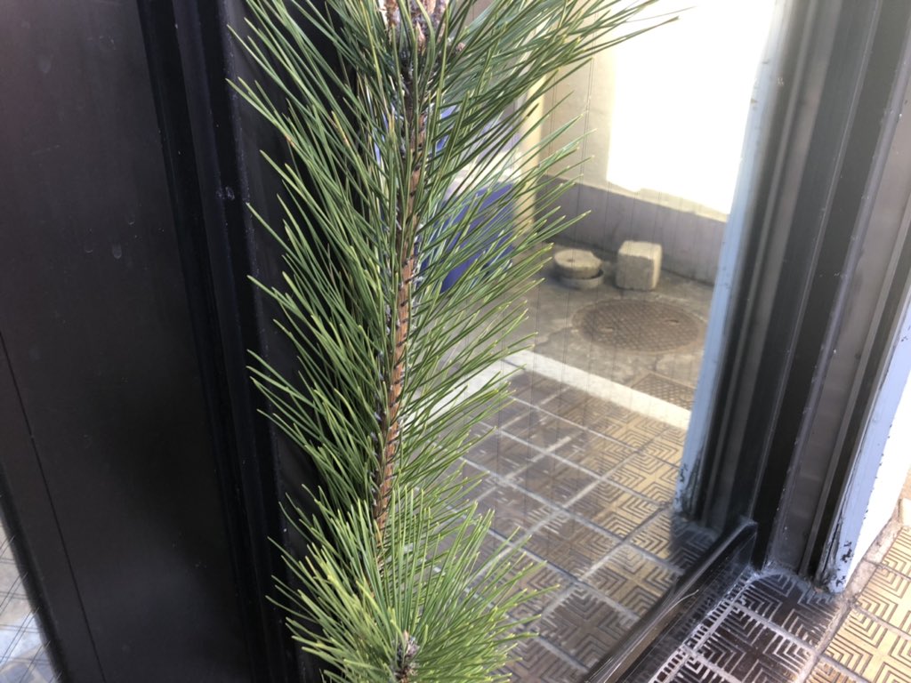 f:id:CLOUDNINE:20190102144650j:plain