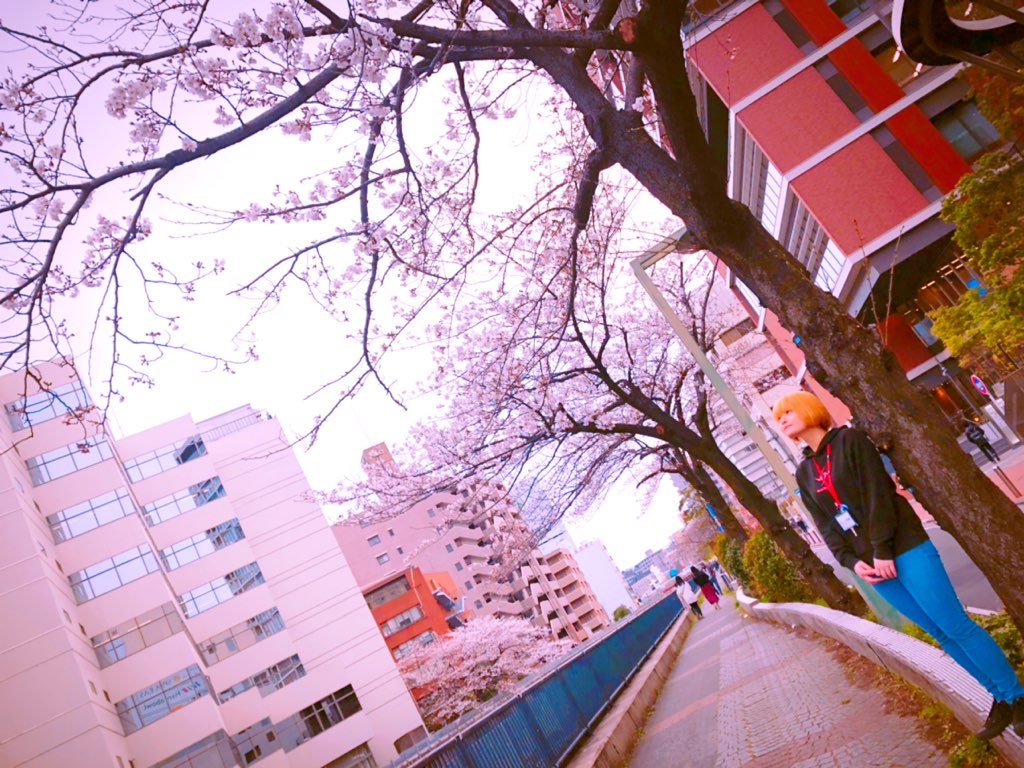 f:id:CLOUDNINE:20190325175226j:plain