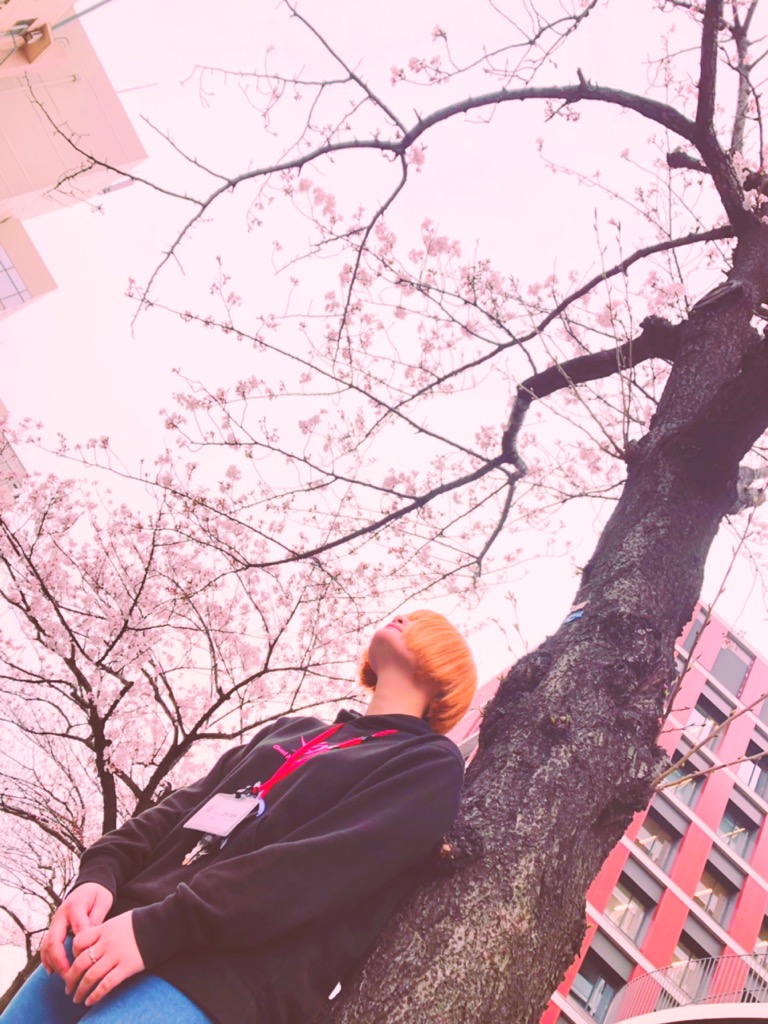 f:id:CLOUDNINE:20190325175237j:plain