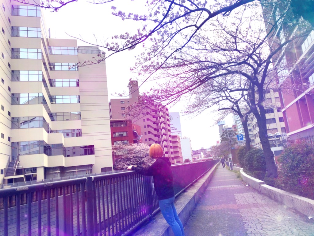 f:id:CLOUDNINE:20190325175240j:plain