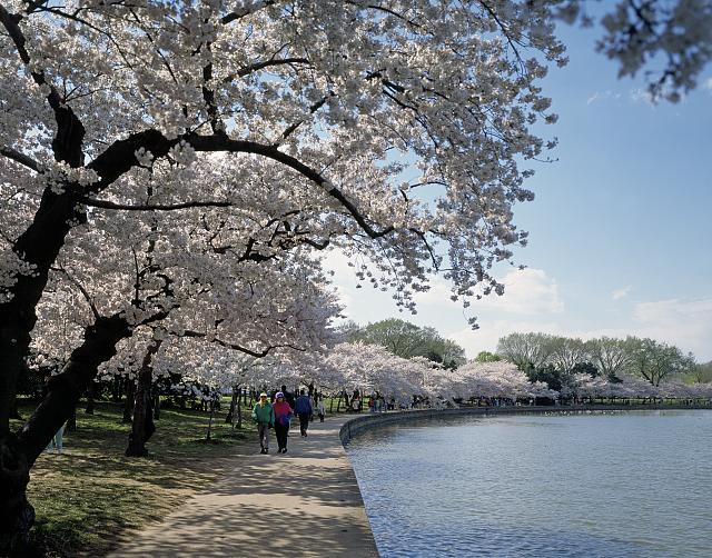 f:id:CLOUDNINE:20190402143716j:plain f:id:CLOUDNINE:20190402143716j:plain