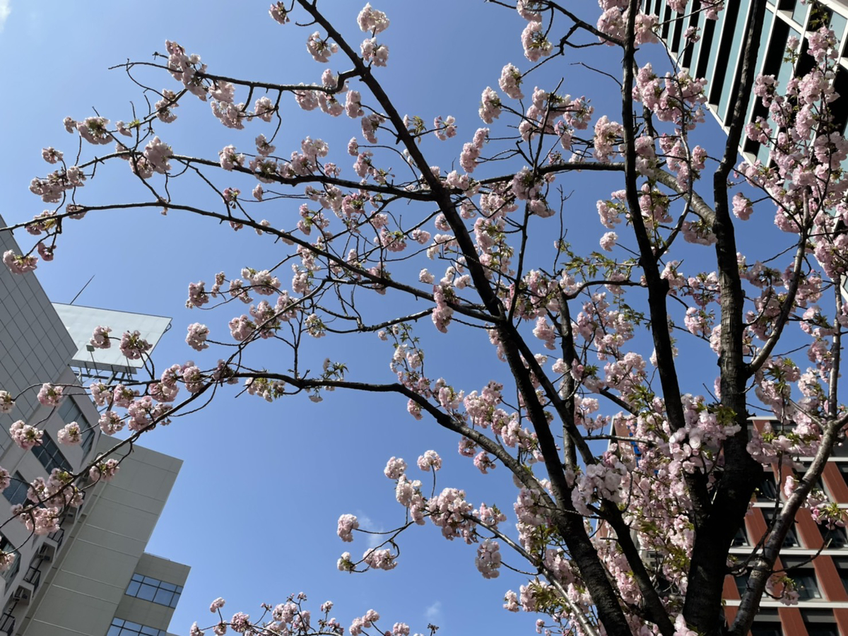 f:id:CLOUDNINE:20210322192035j:plain