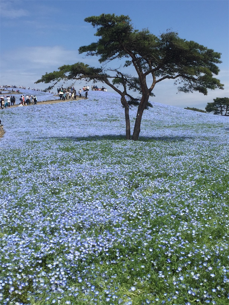 f:id:CMDjapan:20190425132024j:image f:id:CMDjapan:20190425132024j:image