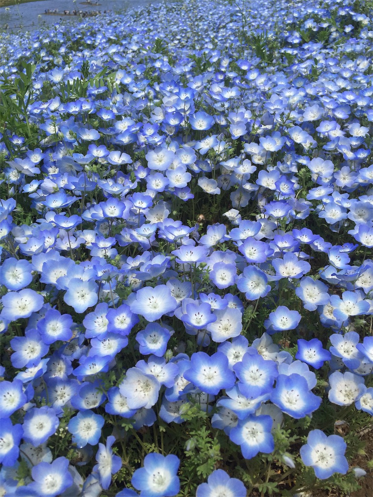 f:id:CMDjapan:20190425132038j:image f:id:CMDjapan:20190425132038j:image
