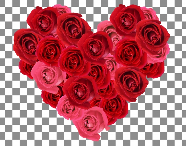 f:id:CMcompany:20200525055451j:plain