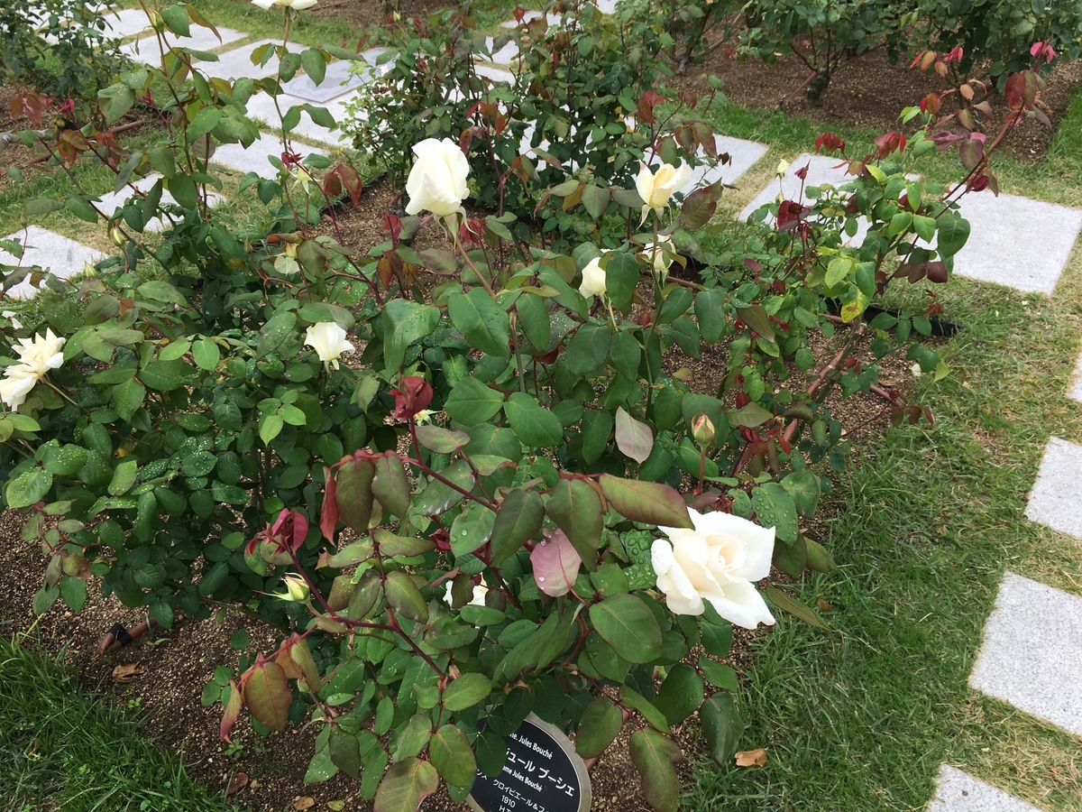 f:id:CMic:20201108110004j:plain