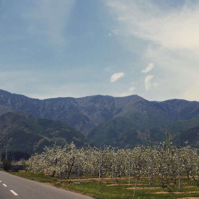 f:id:CNwriting:20150504160317j:plain